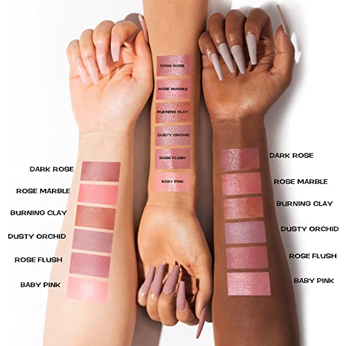 FOCALLURE Cream Blush Makeup,Buildable Blush Stick for Cheeks,Matte and Dewy Finish,Long Wearing,Easy Application,Lightweight Multi Stick,ROSE FLUSH - Morena Vogue
