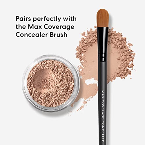 bareMinerals Loose Powder Concealer SPF 20, Mineral-Based Concealer for face, Lightweight Coverage, Conceals Redness + Blemishes, Talc Free, Vegan - Morena Vogue