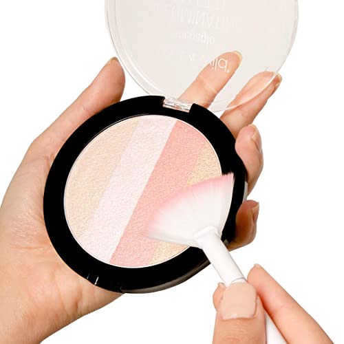 Blush Palette By Wet n Wild MegaGlo Illuminating Blush Makeup Powder Palette, Catwalk Pink, Highlighter Face Make Up - Morena Vogue