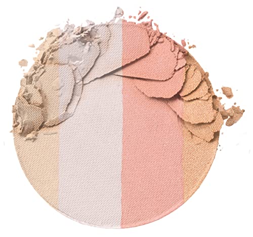 Blush Palette By Wet n Wild MegaGlo Illuminating Blush Makeup Powder Palette, Catwalk Pink, Highlighter Face Make Up - Morena Vogue