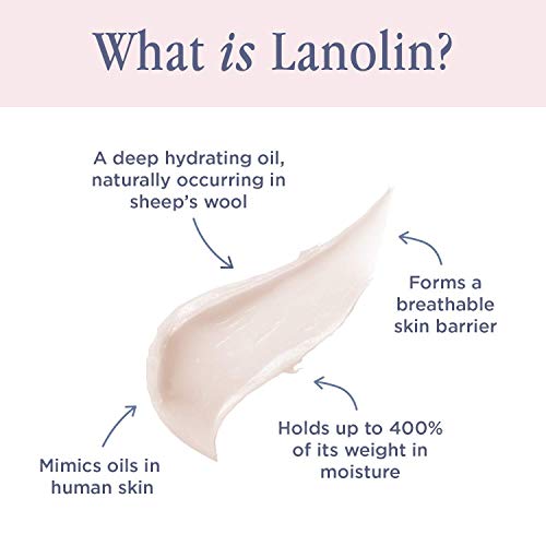 Lanolips 101 Ointment Multi-Balm, Coconutter - Fruity Lip Balm with Vitamin E Oil and Lanolin for Lip Hydration - Naturally Flavored Lanolin Lip Balm for Very Dry Lips - Dermatologist Tested (.35 oz) - Morena Vogue