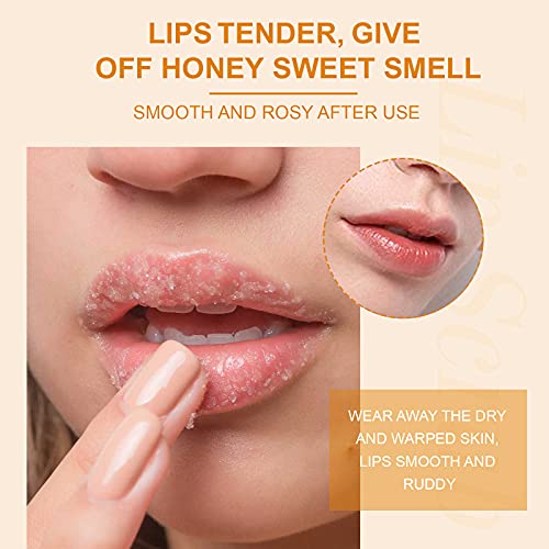 Lip Scrub Treatment, Lip Scrubs Exfoliating Moisturizer Sugar Lip Surb Cruelty-Free for Repairing Dry & Chapped & Peeling and Cracked Lips, the Best Gift for Lip Care in Autumn and Winter(Orange) - Morena Vogue