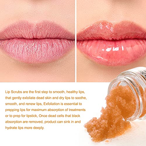 Lip Scrub Treatment, Lip Scrubs Exfoliating Moisturizer Sugar Lip Surb Cruelty-Free for Repairing Dry & Chapped & Peeling and Cracked Lips, the Best Gift for Lip Care in Autumn and Winter(Orange) - Morena Vogue