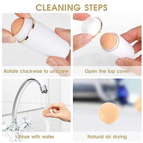 Oil Control On The Go, Oil Absorbing Volcanic Roller with Two Replaceable Volcanic Ball and Cleaning Sponge, Reusable Portable Oil Control Roller, Oil Control Blotting Tool - Morena Vogue